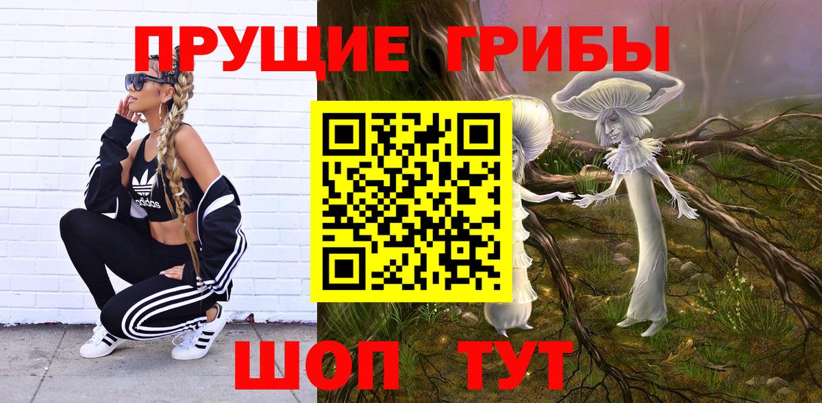 Галлюциногенные грибы GOLDEN TEACHER  Вход с VPN  купить наркотики цена  Лесной 