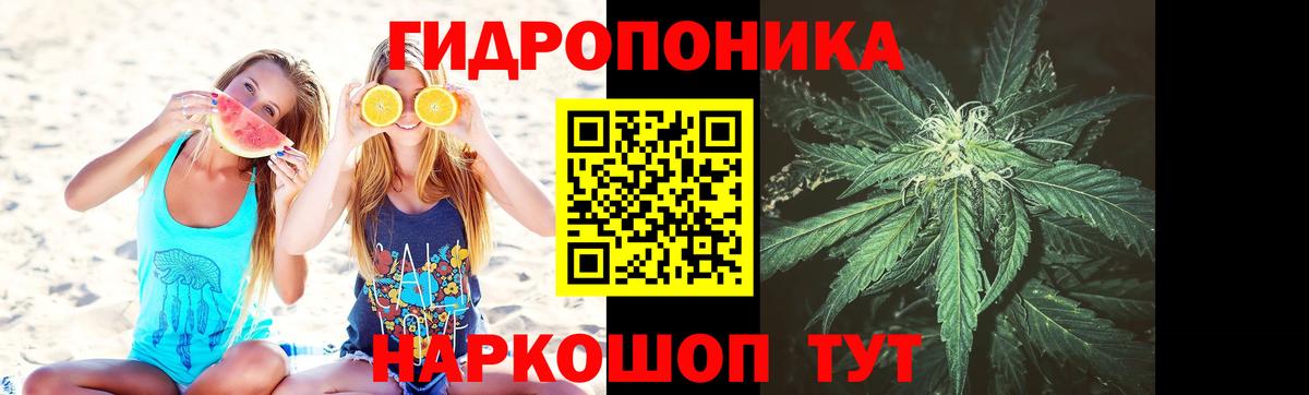Лесной  Марихуана ГИДРОПОН  Конопля MAZAR  Вход с VPN  Марихуана сатива 